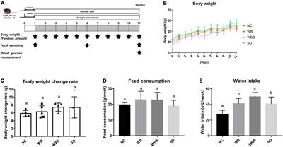 Mouse feeding study and microbiome analysis of sourdough bread for evaluation of its health effects